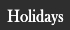 Romantic Holiday Ideas